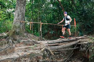 BIB: 
                            <button type="button" onclick="openModal(27803958)" class="btn btn-primary btn-sm float-right btn-popup" data-toggle="modal" data-target=".modal-high-quality">
                        <i class="fas fa-shopping-cart"></i> Add to Cart
                    </button>
                                            <button type="button" onclick="isThisMe(27803958, true)" class="btn btn-success btn-sm float-right btn-popup btn-isme hidden" data-toggle="tooltip" data-placement="bottom" title="นี่คือรูปของคุณใช่ไหม คลิกที่นี่เพื่อเอาเข้าอัลบั้ม">
                        <i class="fas fa-plus"></i> Add to album
                    </button>
                    <button type="button" onclick="isThisMe(27803958, false)" class="btn btn-warning btn-sm float-right btn-popup btn-isnotme hidden">
                        <i class="fas fa-ban"></i> Remove from album
                    </button>